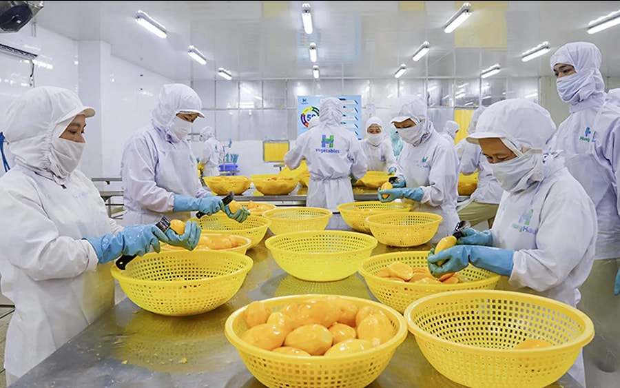 Chứng Nhận &amp; Chứng Chỉ